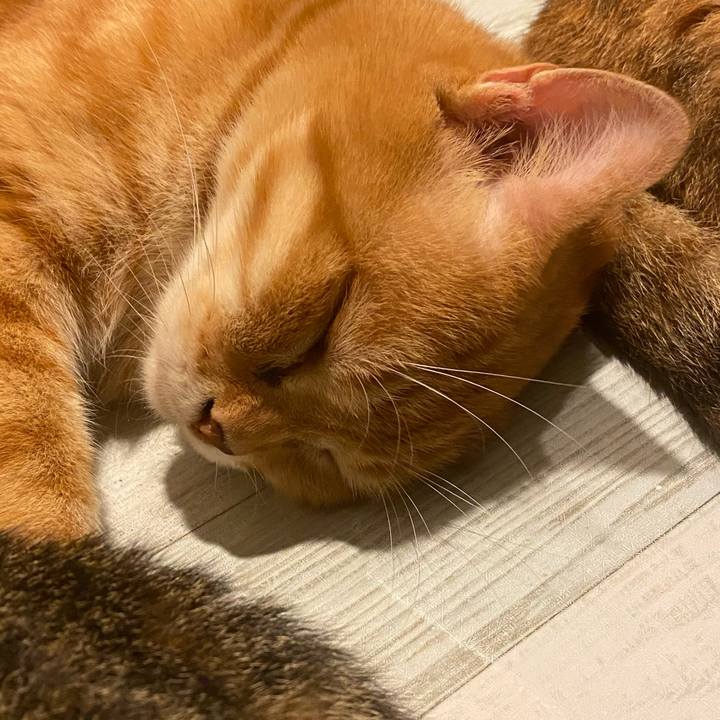 D6897990 117f 4e7f 926e be35705d936e 1626455573451