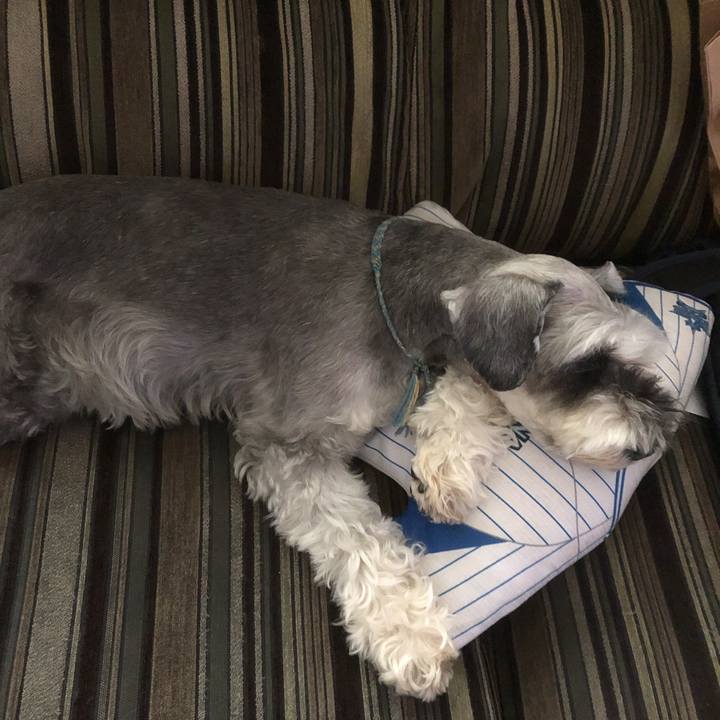 D6899c98 1694 4b10 81b4 147a0c182e69 1563320435435