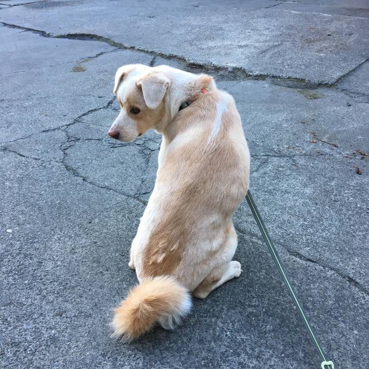 D689b9b8 3003 42f9 9e13 74ff0f84f0e6 1513900484544