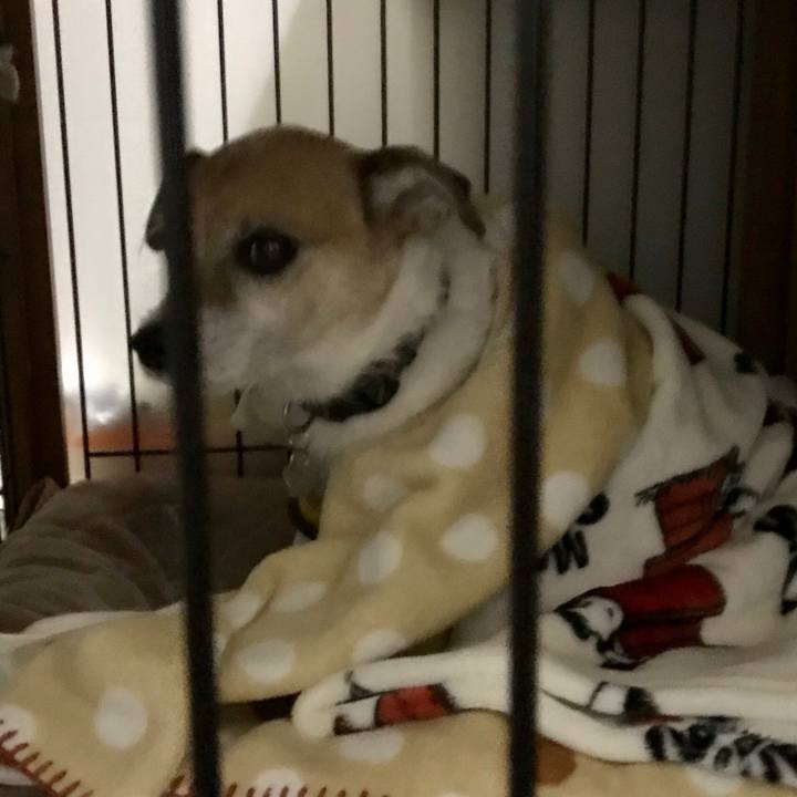 D689e0c1 84f1 461c a133 28a0f2487da7 1605045674993