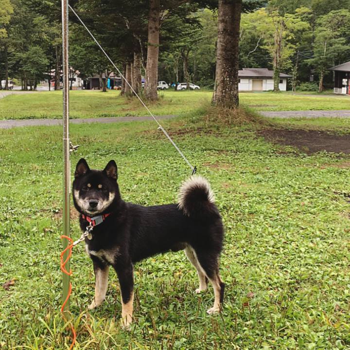 D689e34d 1878 4d30 93f8 b6c4eedc4ed4 1536762737579