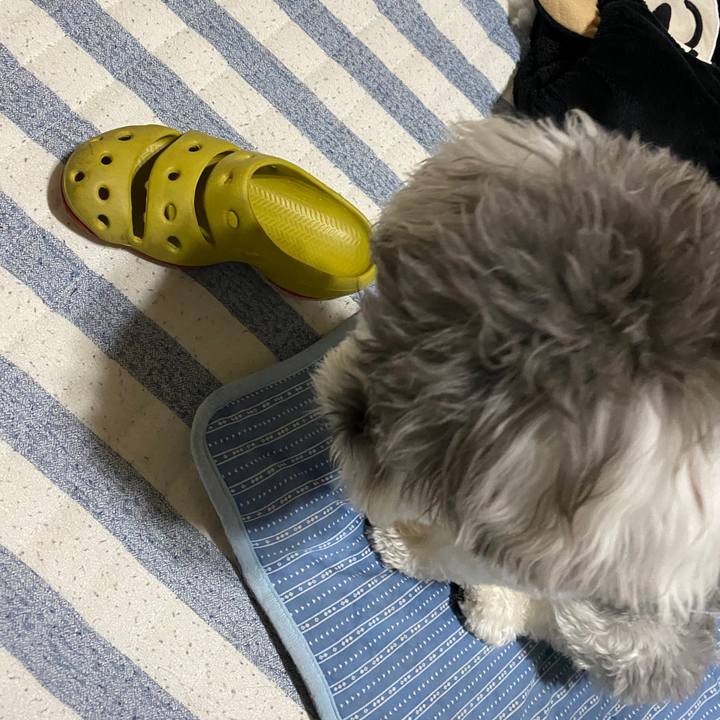 D68a2018 b9c7 4879 81bb 0751f35ffe09 1594654673440