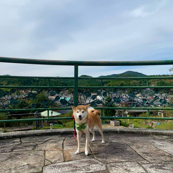 D68a2791 a44d 4f86 bcde 802f3290befd 1634901631592