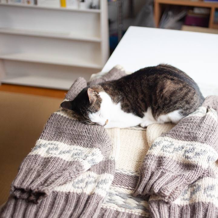 D68a420f 9105 4ae3 a175 7a60815e1b3b 1592100817596