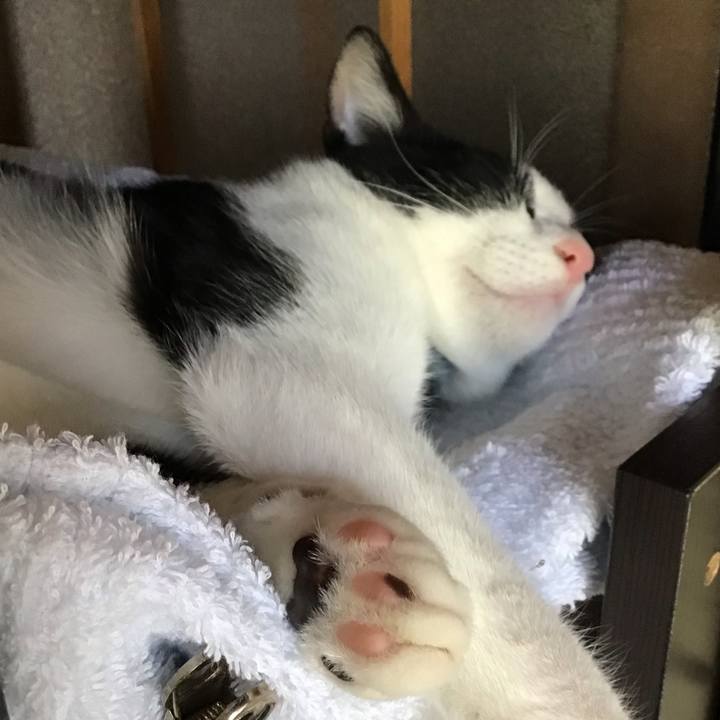 D68a4b5d 6fa4 47d9 b2e0 0c4efb8d0a14 1631759693555