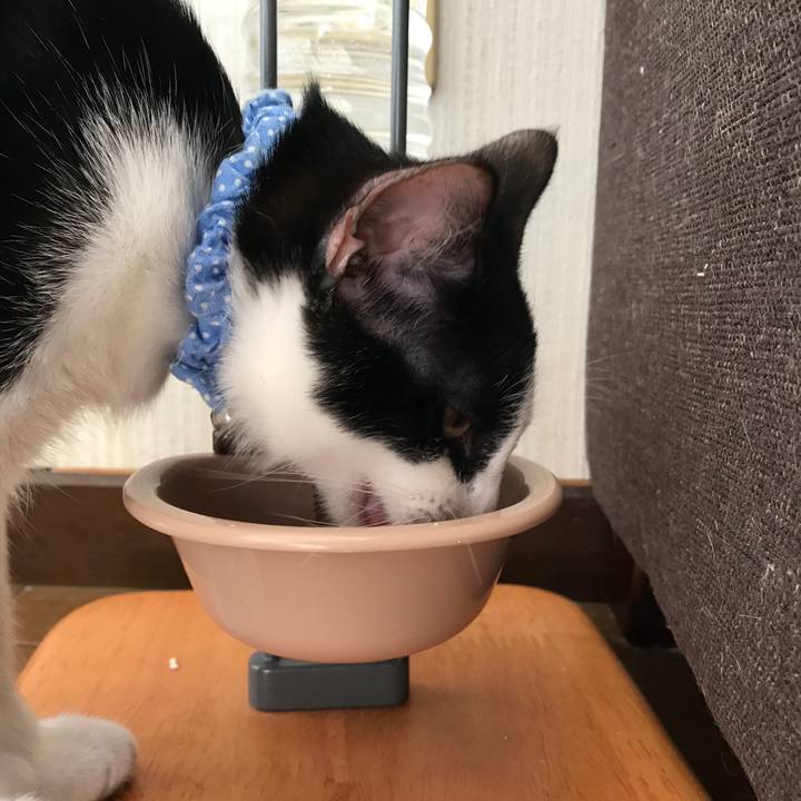 D68a8e33 f1f3 4d54 bc2c 620e7116ffcf 1511664020728