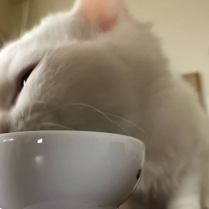 D68ad1be c117 4ed5 9071 3e4f294ea837 1509165391258