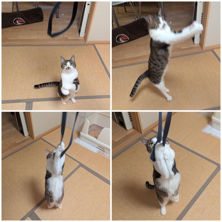 D68aef69 32c8 46b9 98b8 6c31c616a831 1764818259106