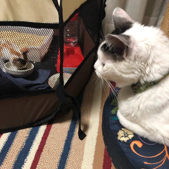 D68af7c5 0d65 4c20 bd0f 57930fb53573 1561470754547