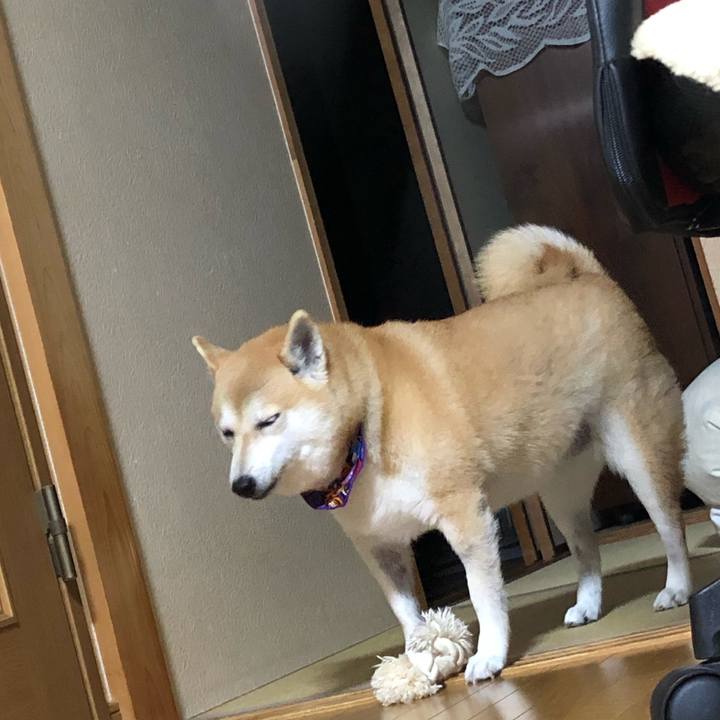 D68b1088 d31e 410c 8147 37093a40be66 1572173914728