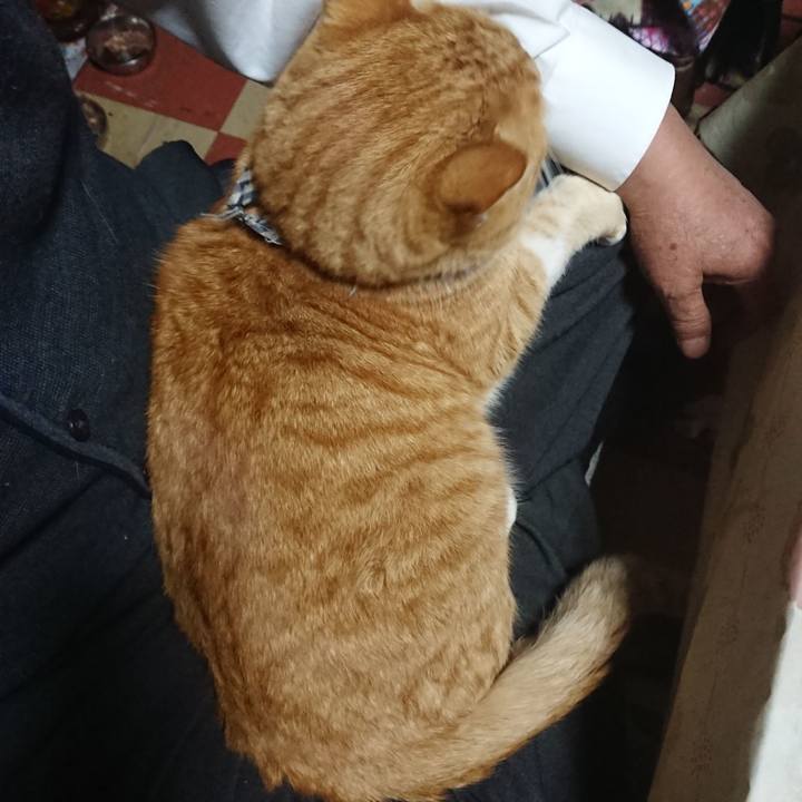 D68b68f1 781e 4050 bbaa 40cd1534b62a 1575532284314