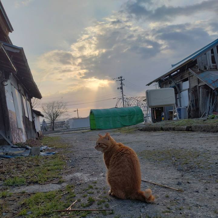 D68b9e53 e554 41d2 930c b8ac66287001 1680041822117