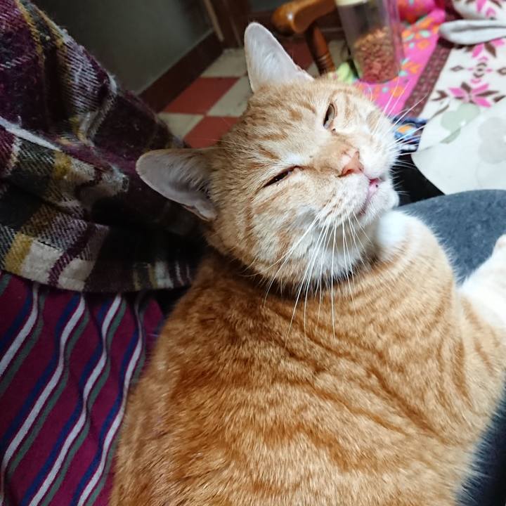 D68bb3a6 4fe5 4e01 9675 4660a524fe9a 1577569999374