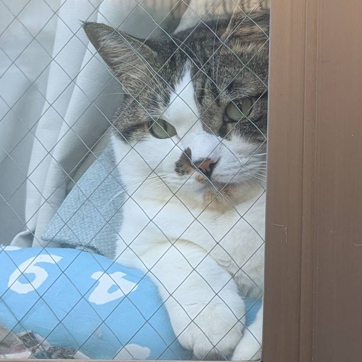 D68bc62c b74a 403a 82bb fa2b0e15ac2c 1756678799529