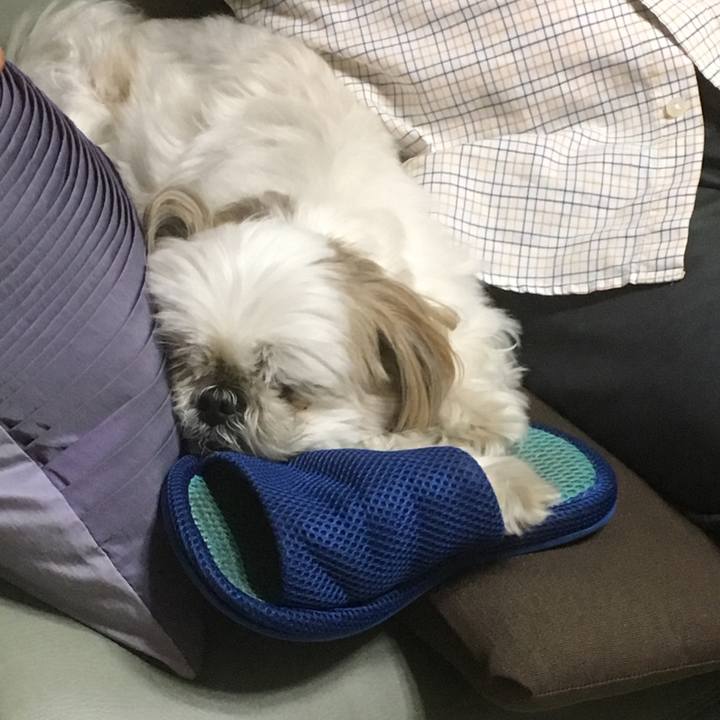 D68c01ee 9627 4fb6 b29c 508945113ce7 1526309159197