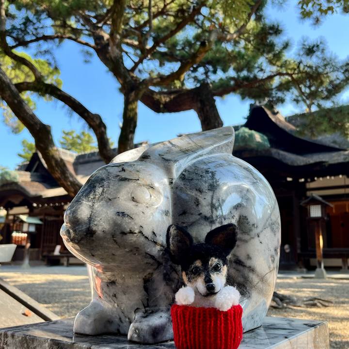 D68c258c 69c1 4820 b8d0 2d5a261df1e1 1668243568298