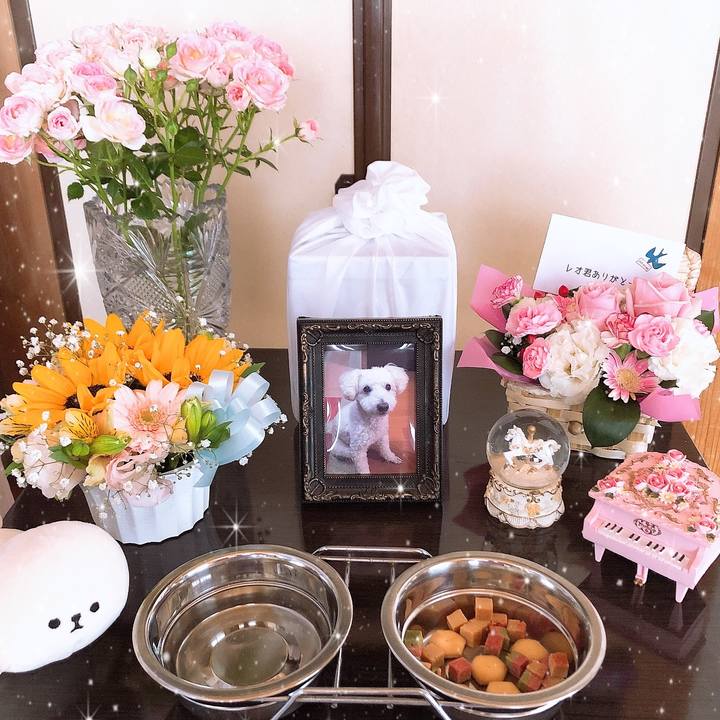 D68c3a56 9a4d 4d55 95ca 718511d4fe2e 1559287486448