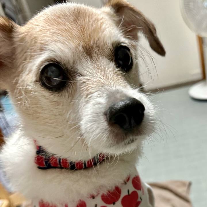 D68c44fc 2a6f 4b6f b374 ec5962b7ea62 1756679706856