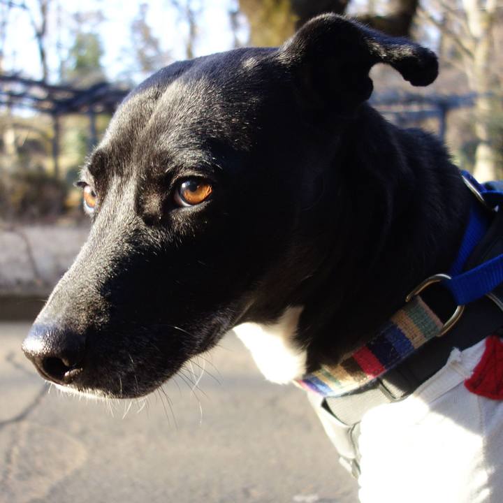 D68c4bd0 5210 4a15 9569 0cdf4dfd24c2 1644195998760