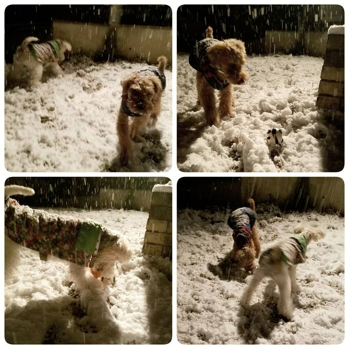 D68c6a9e ec60 4f43 a81f adbce14f90a7 1513174465995