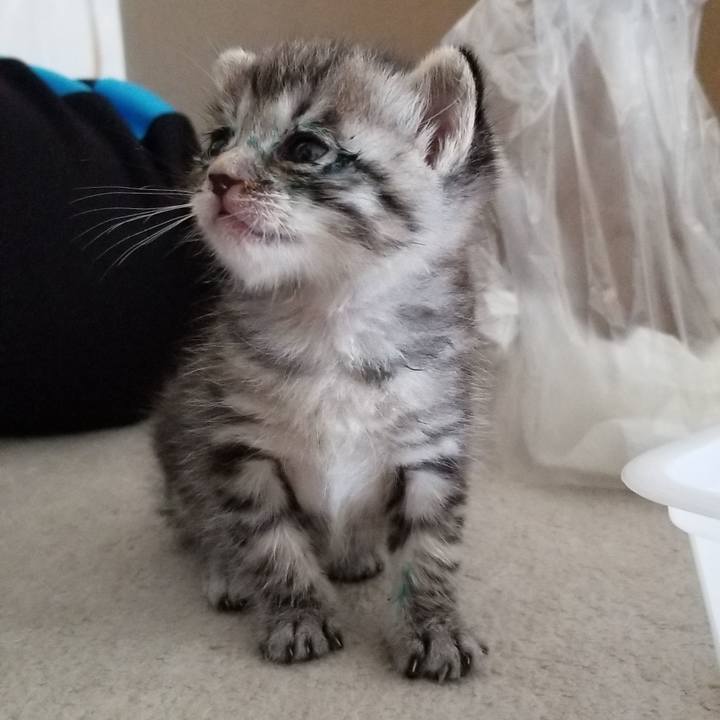 D68c713b f0cc 4b59 ad6b 63b05e615e4b 1659695155260