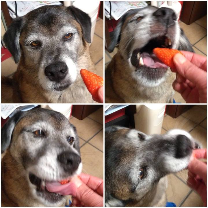 D68c7746 e593 49b6 a533 327785322fe8 1547386390191