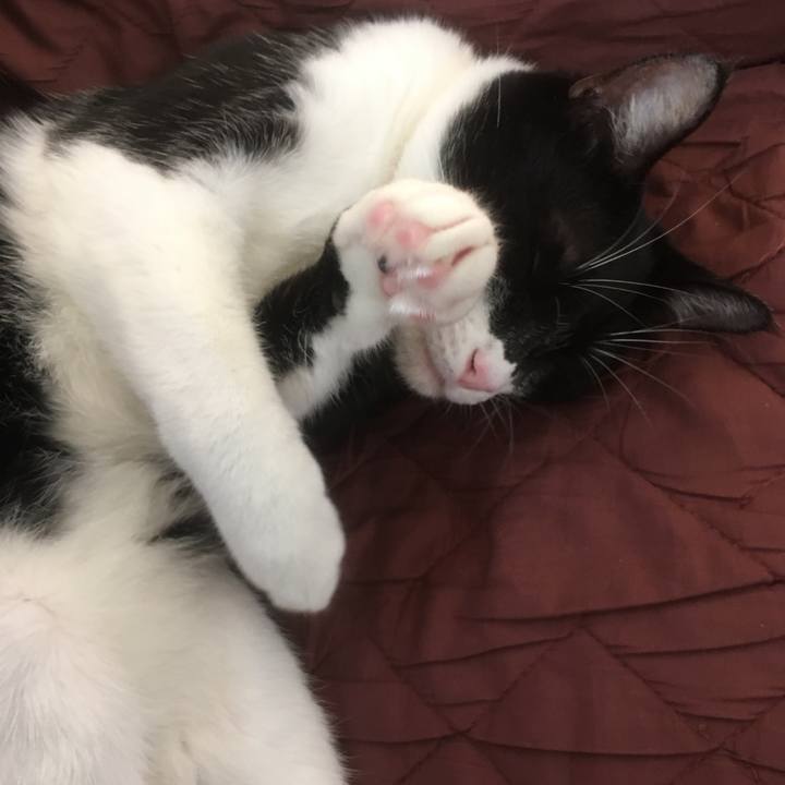 D68cb4ef 1d6d 45c7 8d32 5f21f7dd9e48 1542878829453