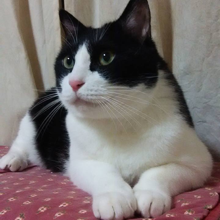 D68cbcd6 a498 492d b8e0 d72e2c675e66 1551440706357