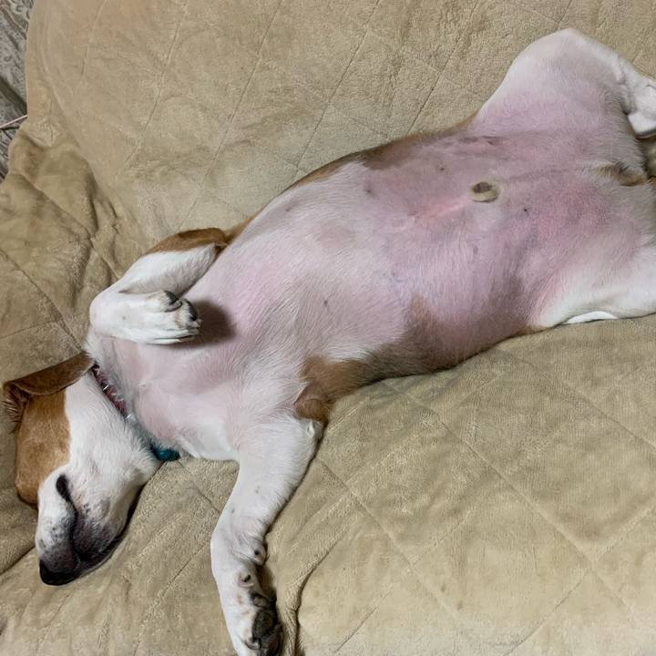 D68d036e 430e 4cbb 970d 4ffcddc14c9b 1640949267918