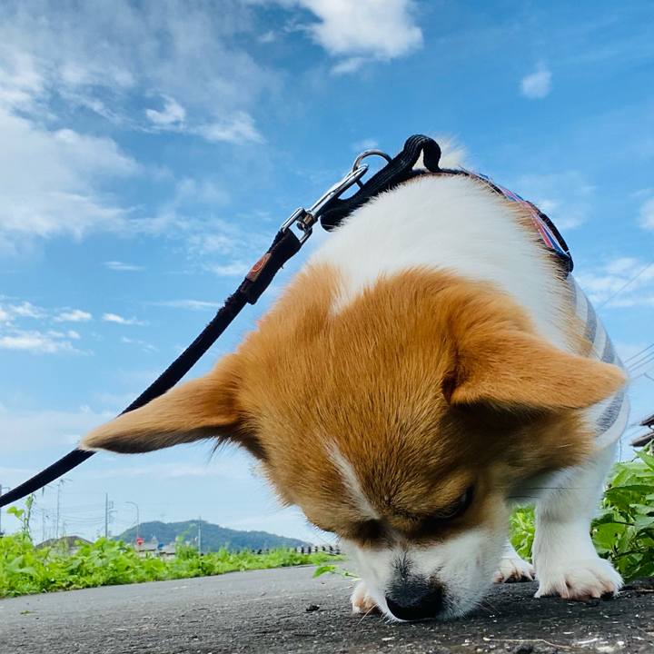 D68d0a22 138e 4228 9656 344a0547e971 1625909188375