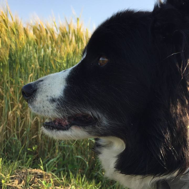 D68d5774 a652 4c80 8c08 bdd1d8e729aa 1556927443551