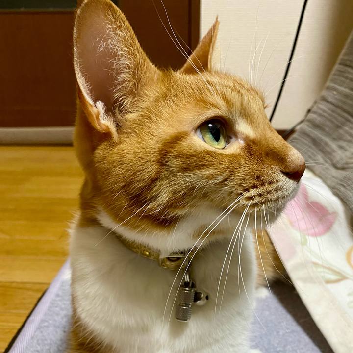 D68db7f5 20c9 4231 8854 eb93069a3f41 1768647501317