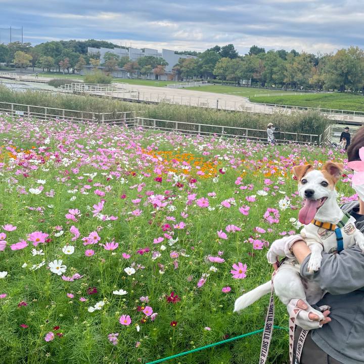 D68df2f1 9177 4faa 9b12 21449efdb25f 1665402363170