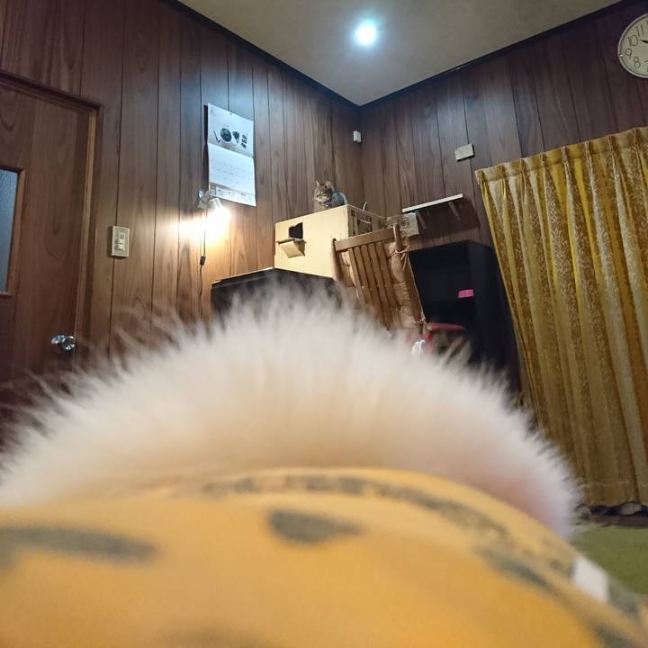 D68e019a 593b 4ad6 8d1a 7e6cb8773f0b 1550064645517