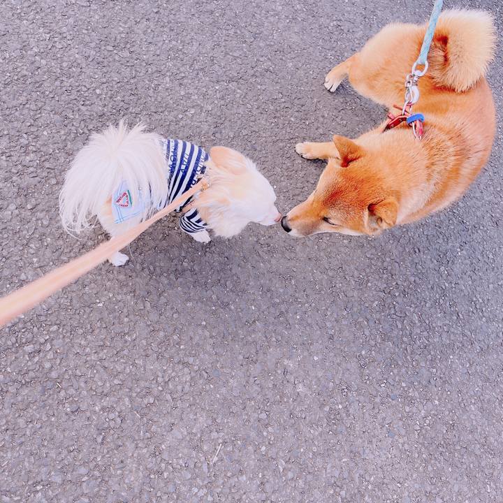 D68e1d3d beed 4240 9734 a7a613208cb5 1679477038120