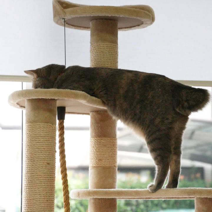 D68e213e 8d61 430b 81ec 994fb807ef78 1533535250746