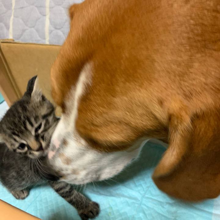 D68e30eb dabe 4b55 a37a 7622a9873d78 1570459209882