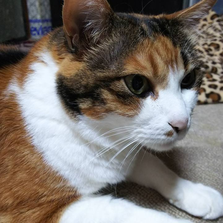 D68e47b6 b10e 4632 ad2b ef12374c5e8c 1536452201899