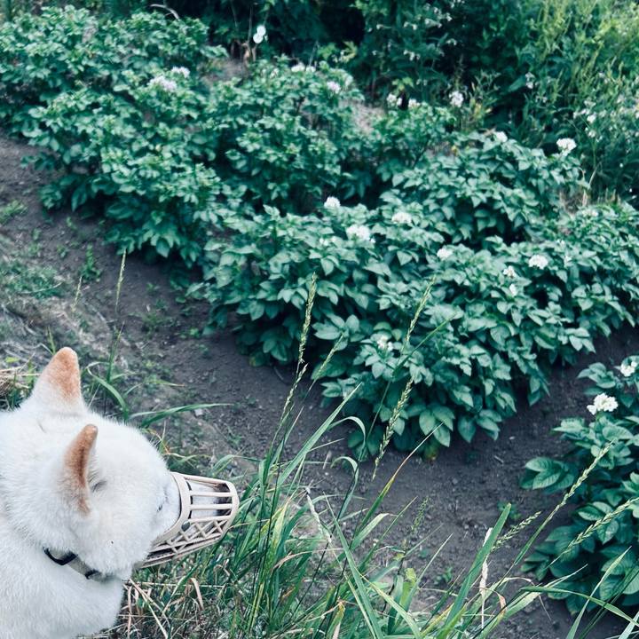 D68e6326 6301 441a 9f5d c0ad60f035c4 1750970920654