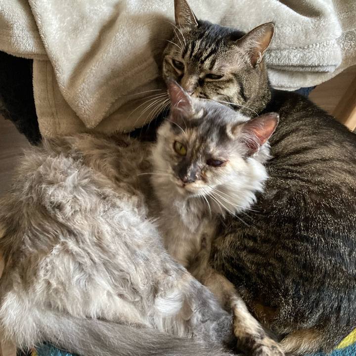 D68e703c 8cb1 4ff0 be3e 17fb9ee2d113 1702386557220