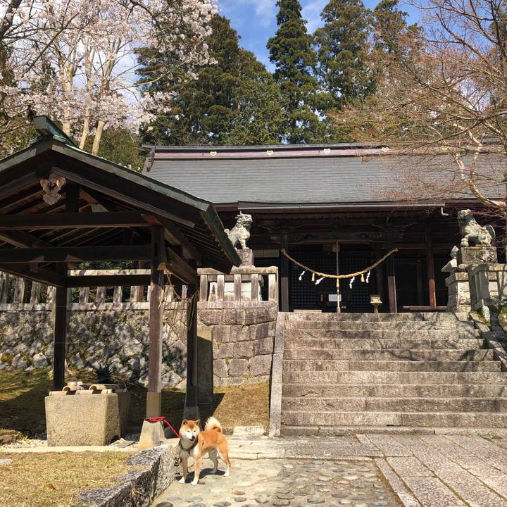 D68e91fd 60c2 49cf b9e1 b700c60c145f 1555327911250