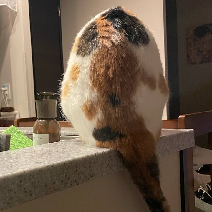 D68e9d3c eaa3 4655 9314 e9c37534e23f 1755876065386