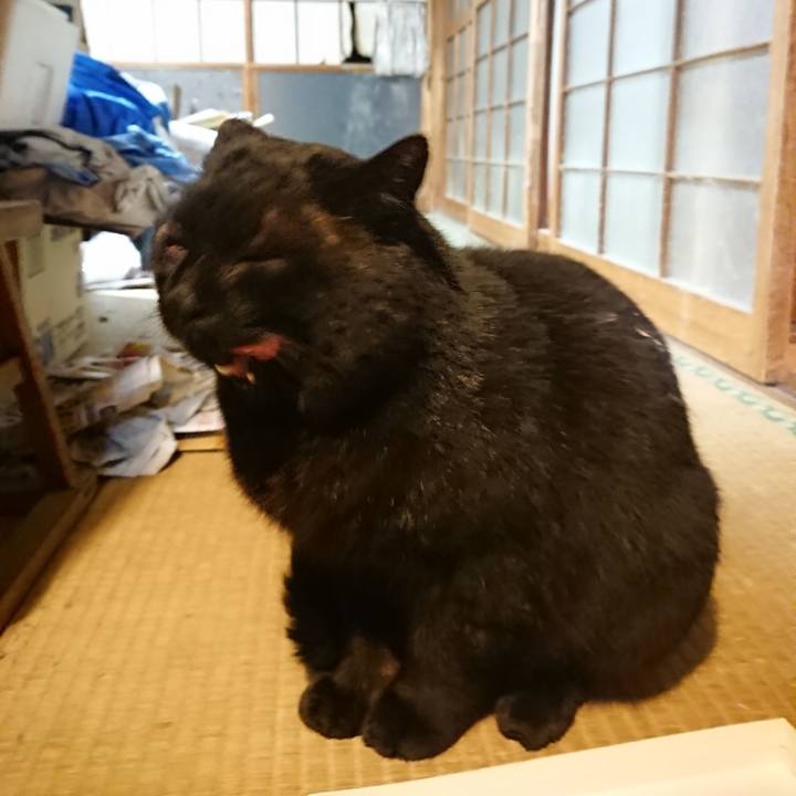 D68ebc9e 834b 40c1 a91c de5f866525cb 1615200434491