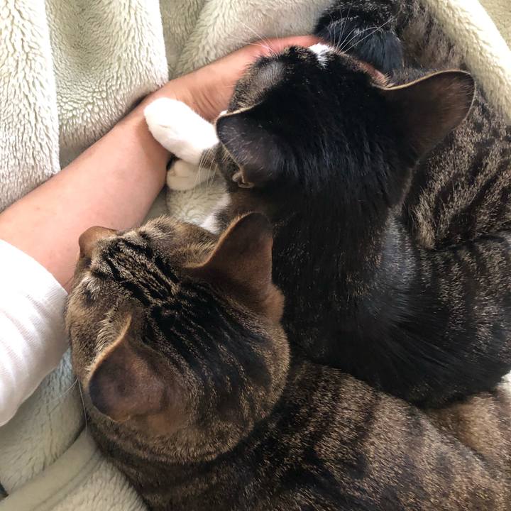 D68efba1 c750 47df a68e ae58c3441457 1557716066111