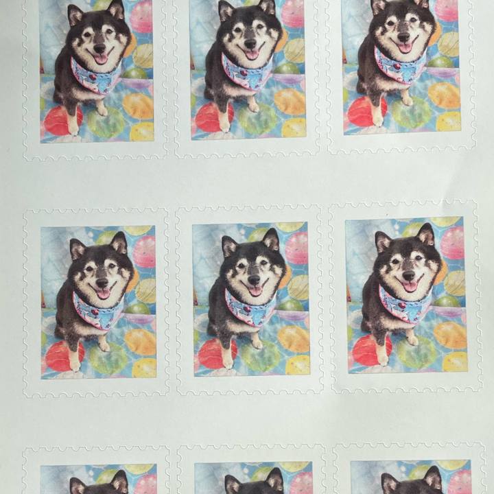 D68f2b38 24d4 45d4 8158 bf4b0cf2993a 1765076894881