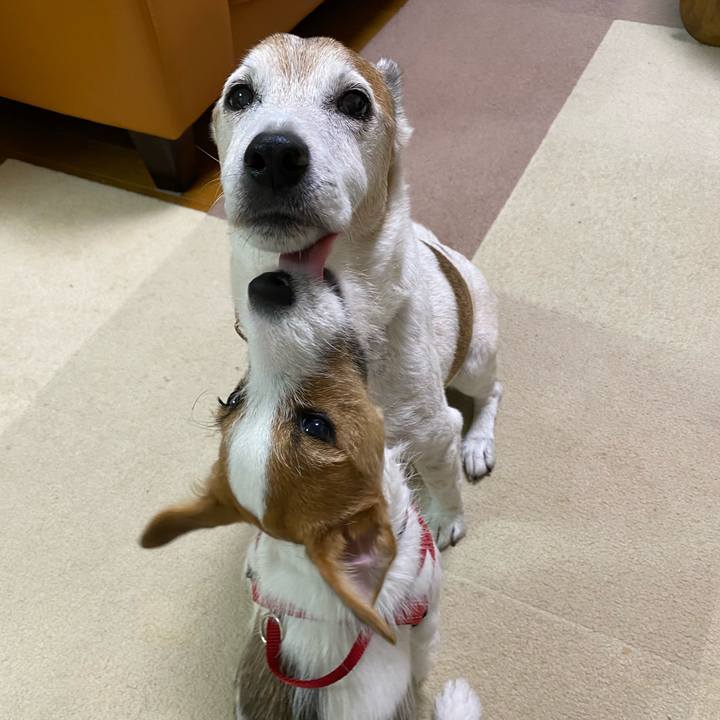 D68f31a7 9993 4f14 8538 8fc0b09a0866 1618624450987