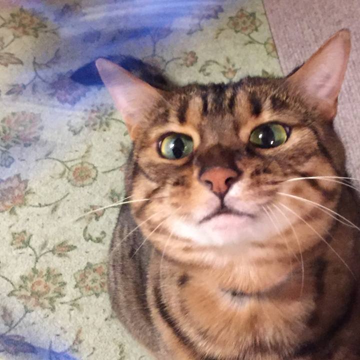 D68f8162 3a3e 449c 8734 6b218121cf7f 1518822015840