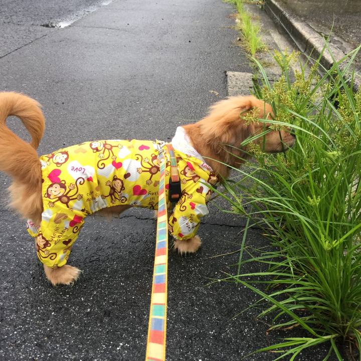 D68fc36a 261d 4a4a a9f8 1897f4a81bde 1618350242371