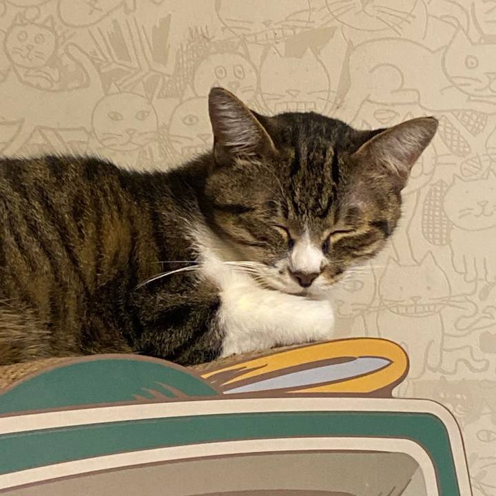 D68fc3af b45a 4c9a bb81 ad26c40cea9c 1633518182487