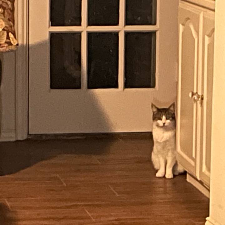 D68fd808 8152 4afd 8685 c694baa1b8dd 1769548545404